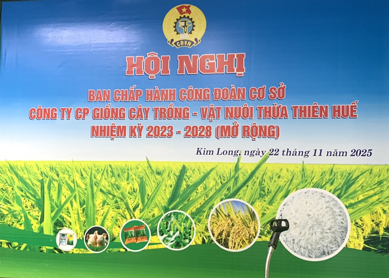 Hội nghị Ban chấp hành Công đoàn cơ sở Công ty cổ phần Giống cây trồng Vật nuôi Thừa Thiên Huế. Nhiệm kỳ 2023-2028 (mở rộng) ngày 22-11-2025.